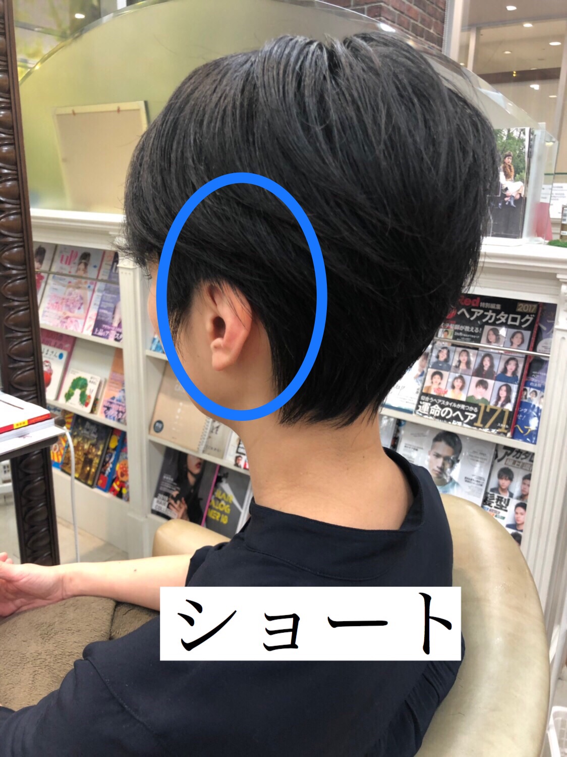 ショート・ショートボブ・ボブの違いをやさしく解説します