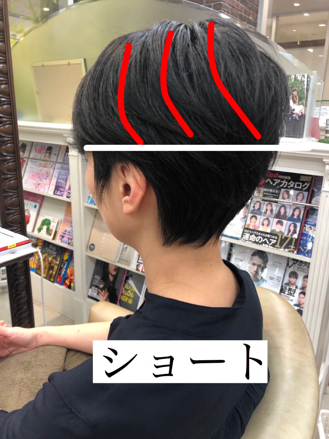 ショート・ショートボブ・ボブの違いをやさしく解説します